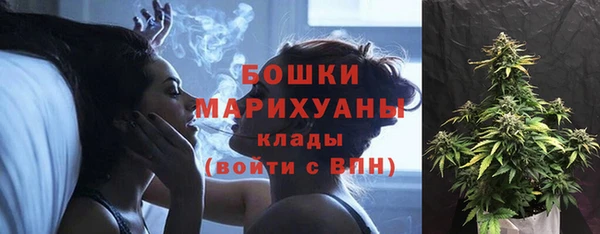 apvp Осинники