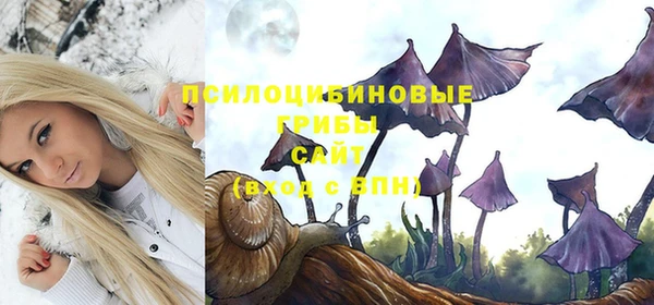 бошки Балахна