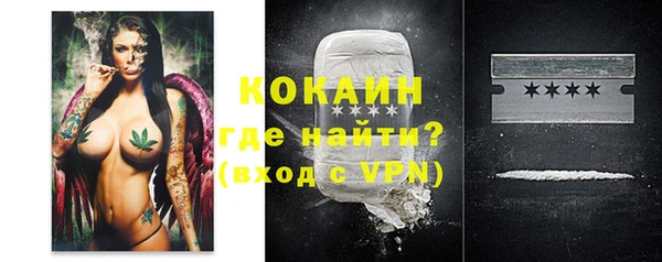 шишки Надым