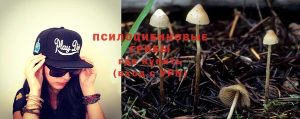 гидра Новодвинск