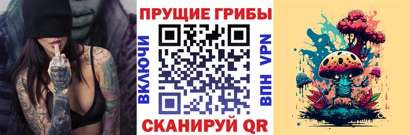 Купить  Балабаново  Псилоцибиновые грибы Magic Shrooms 